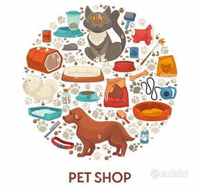 Attività Commerciale Pisa [A126VCG] (Centro stori