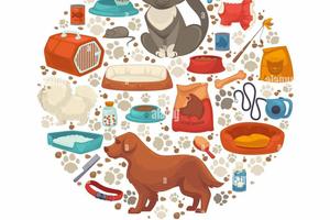 Attività Commerciale Pisa [A126VCG] (Centro stori