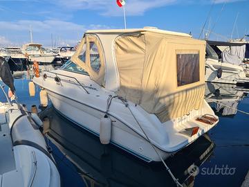 Sea ray 250 Sundancer