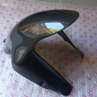 CARBONIO DUCATI 1198-1098-848-999-749