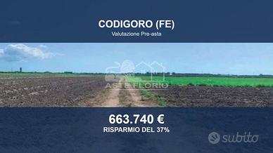 Immobile in asta di 289311 m² a Codigoro