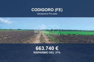 Immobile in asta di 289311 m² a Codigoro
