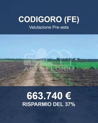 Immobile in asta di 289311 m² a Codigoro
