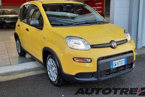 FIAT Pandina 1.0 firefly hybrid Icon s&s 65cv...