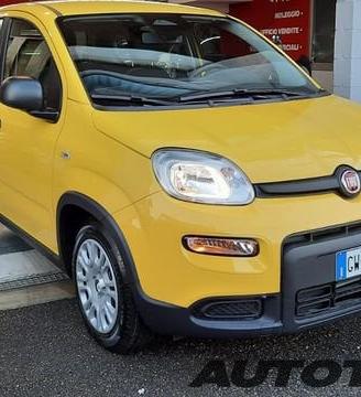 FIAT Pandina 1.0 firefly hybrid Icon s&s 65cv...
