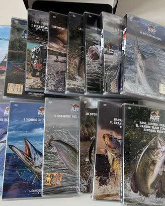 BOX COFANETTO 14 DVD BIG FISH ADVENTURES