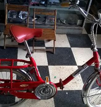 Bici pieghevole Annabella carnielli