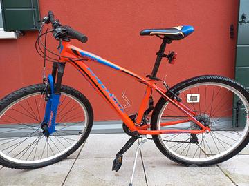mountain bike Torpado per ragazzo