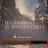 romanzo di Lesllie schwartz