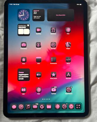 Ipad pro 11” 256 GB