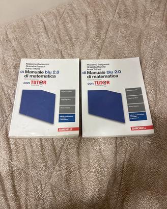 Manuale blu 2.0 di matematica