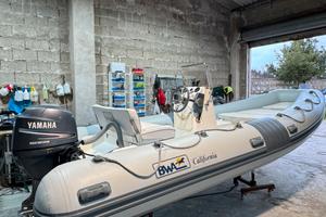 BWA 550 - Yamaha 40/60 - Rimorchio