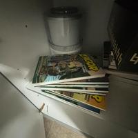 Collezione fumetti Zagor – lotto numeri vari