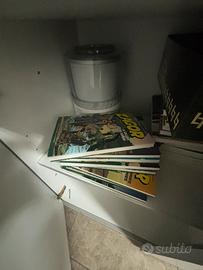 Collezione fumetti Zagor – lotto numeri vari