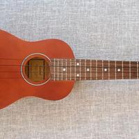 Chitarra Ukulele