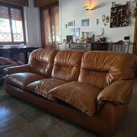 Divani Vintage Vera Pelle