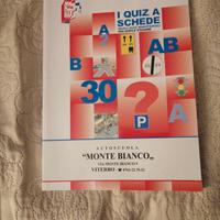 Manuale dei Quiz per la patente