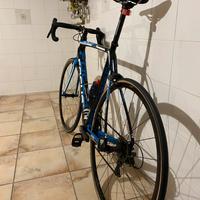 Focus Izalco Max tg L