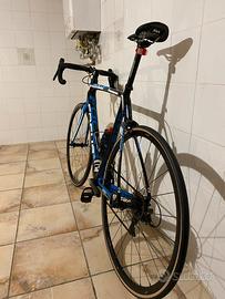 Focus Izalco Max tg L