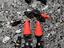 Immagine 5