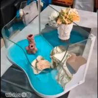 tartarughiera