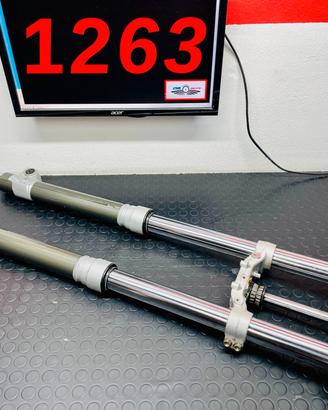 FORCELLA CON PIASTRE HUSQVARNA 610 SMR