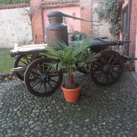 Carro agricolo per abbellimento giardino