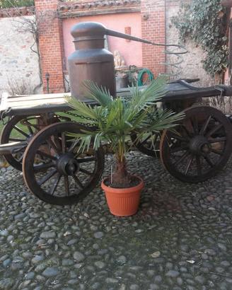 Carro agricolo per abbellimento giardino