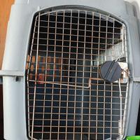 Trasportino per cane grande