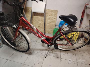 Bici da passeggio 