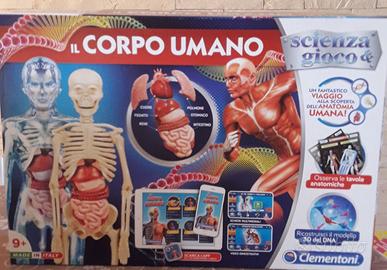 Gioco il corpo umano