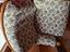 Immagine 4