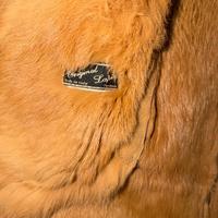 Pelliccia Lapin color miele originale