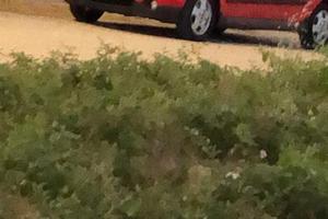 Chevrolet matiz Gpl 