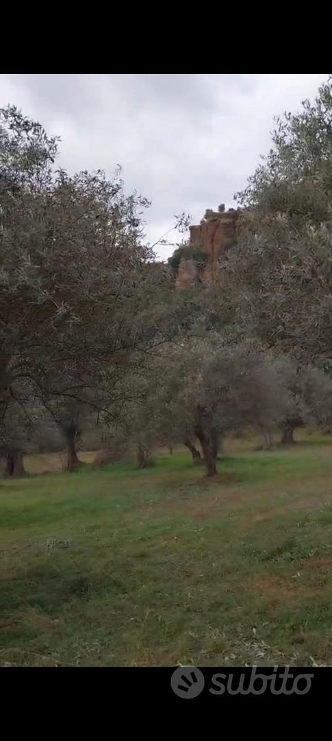 Vendita terreno - Vista 5