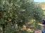 Immagine 19