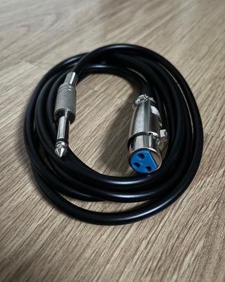 Cavo spina Jack a XLR