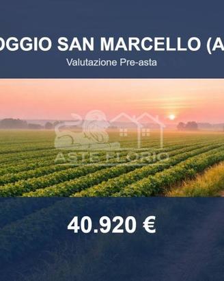 Immobile in asta di 56199 m² a Poggio San Marcello