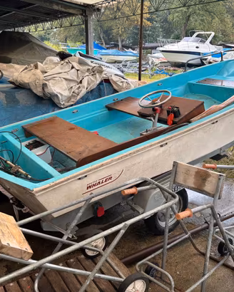 Boston whaler 13