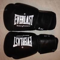 Guantoni Boxe EverLast Paratibia SPHINX