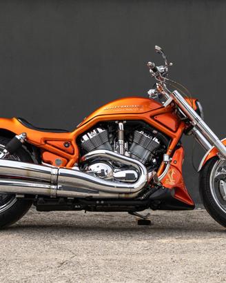Harley-Davidson VRSCA V-Rod 100th - 2003