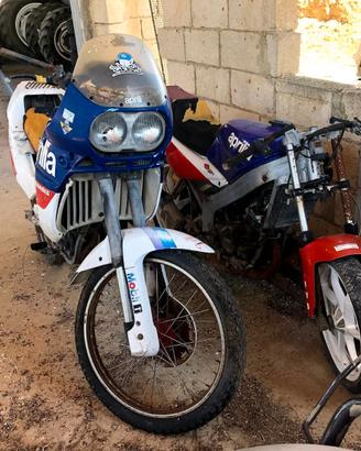 Aprilia Tuareg "50 e Project 108 "50 