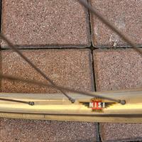 bicicletta donna