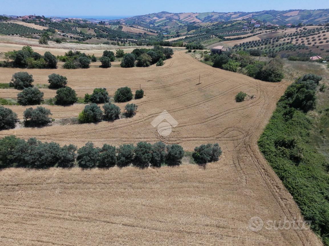 TERRENO A SANT'OMERO - Vista 2