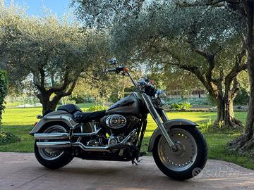 Harley-davidson FLSTF Fat Boy