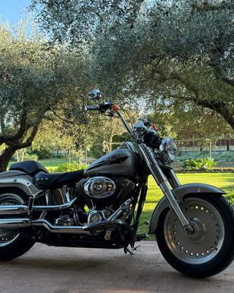 Harley-davidson FLSTF Fat Boy