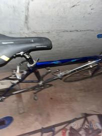 Bici da corsa