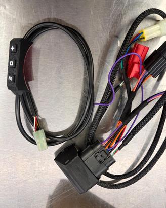 Cruise Control Elettronico Veridian Honda X-ADV