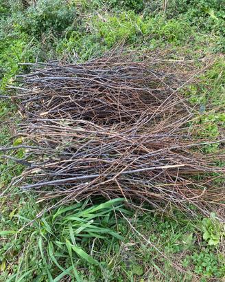 Fascine di legna da ardere per forni e bbq
