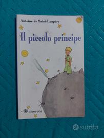 il piccolo principe